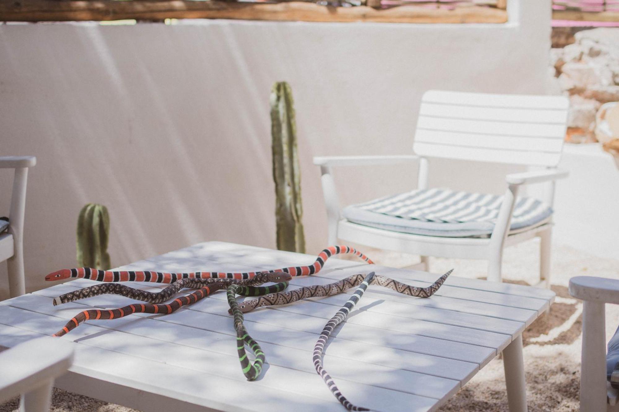 The Mantarraya Outpost Bed & Breakfast La Paz Exterior photo
